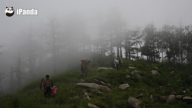 工作人员带着日常用品进山（图：佛坪保护区提供）