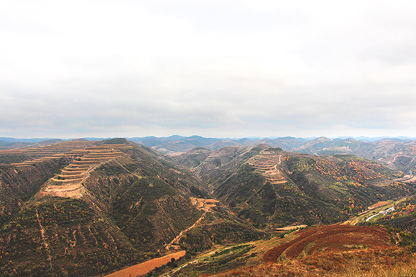 【重走长征路】昔日彭大将军横刀立马“切尾巴” 今日吴起人民奋发有为谋转型_新闻频道_央视网(cctv.com)
