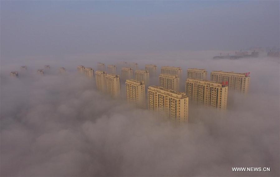 Photo taken on Nov. 14, 2016 shows buildings shrouded in fog in Rizhao, east China