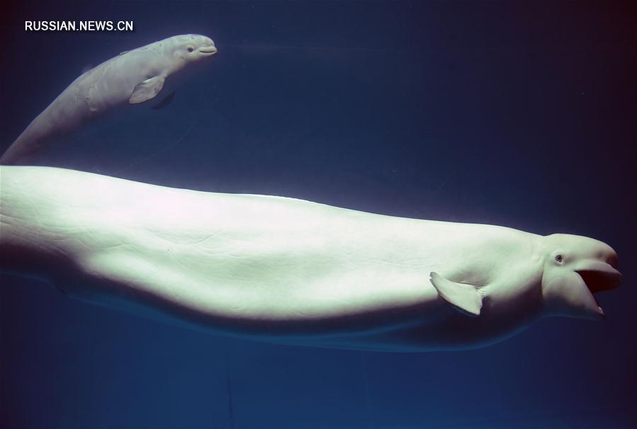 Родившейся в парке 