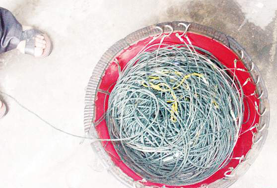 海上一条龙 教娃延绳钓 [海西晨报 2016.11.25]