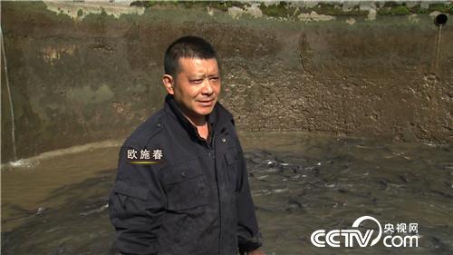 致富经:五个家庭为何因他闹离婚 12月7日