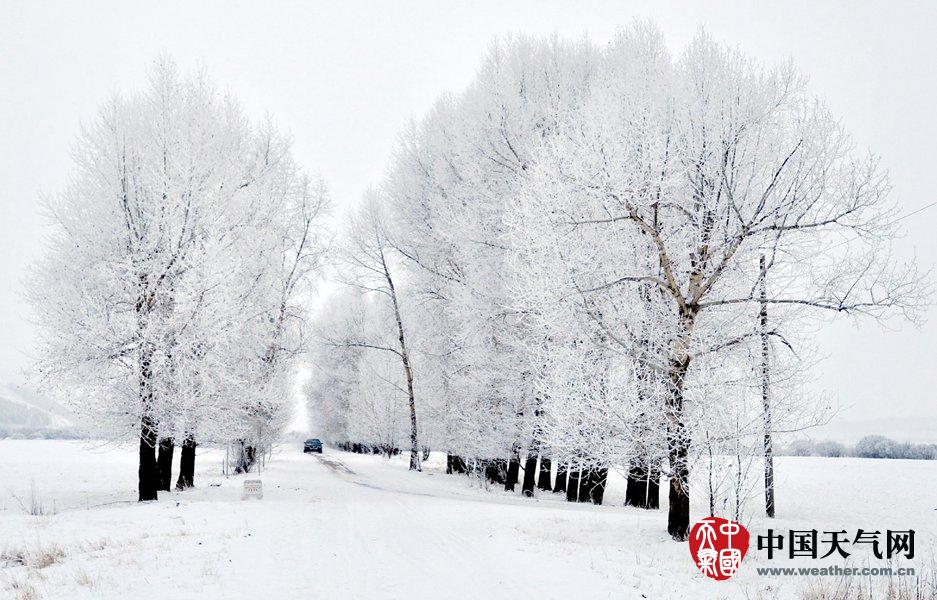 Crystal-clear icicles were seen hanging on the willows, pine trees and buildings
