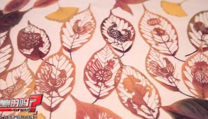 《是真的吗》 20170114_CCTV节目官网-CCT