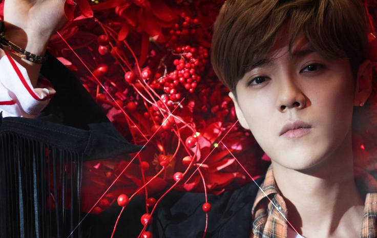 鹿晗曝《微白城市》MV 1月9日上线正式揭晓_音乐_央视网(cctv.com)