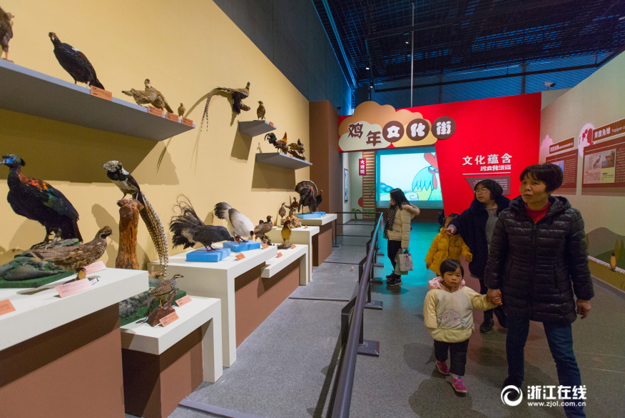 Exposition de coq dans la province du Zhejiang