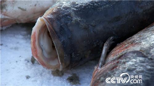 致富经 :一网2000万 他凭啥多赚10倍钱 2月16日