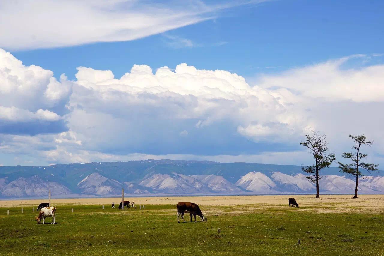 东西伯利亚:在贝加尔湖畔老去_旅游_央视网(cctv.com)