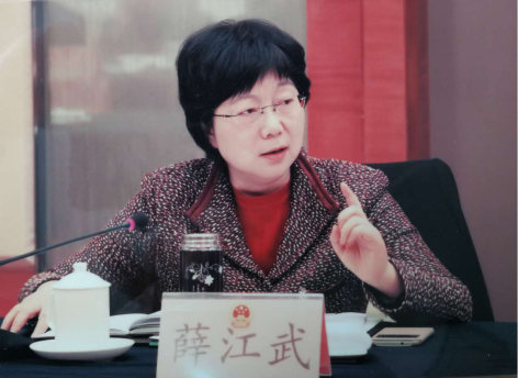 【两会新视角】薛江武代表:建议授权检察机关