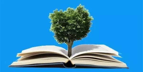 【治国理政新实践 浙江篇】知识产权在浙江受优待:更强权利保护 更多收益激励(图4) 【治国理政新实践 浙江篇】知识产权在浙江受优待:更强权利保护 更多收益激励(图4)