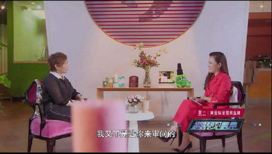 《跨界见真章》李静:不做市场调查的"迷糊"总裁