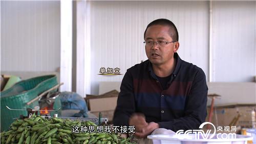 :一根筋的男人如何从500元起步到年入6000万