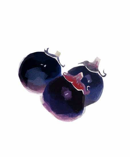 美味画廊:食材真味 京都风物的京都味_旅游_央