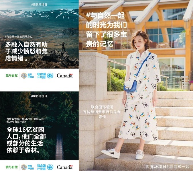 第 3 个：世界环境日：我能为环境保护做些什么