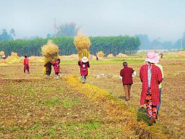 【治国理政新实践·四川篇】四川探索环保督察