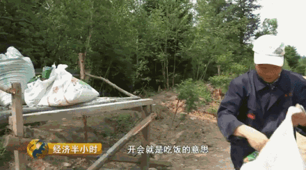 喝山泉水,吃中草药的森林猪,养它的人一年能卖一个亿!