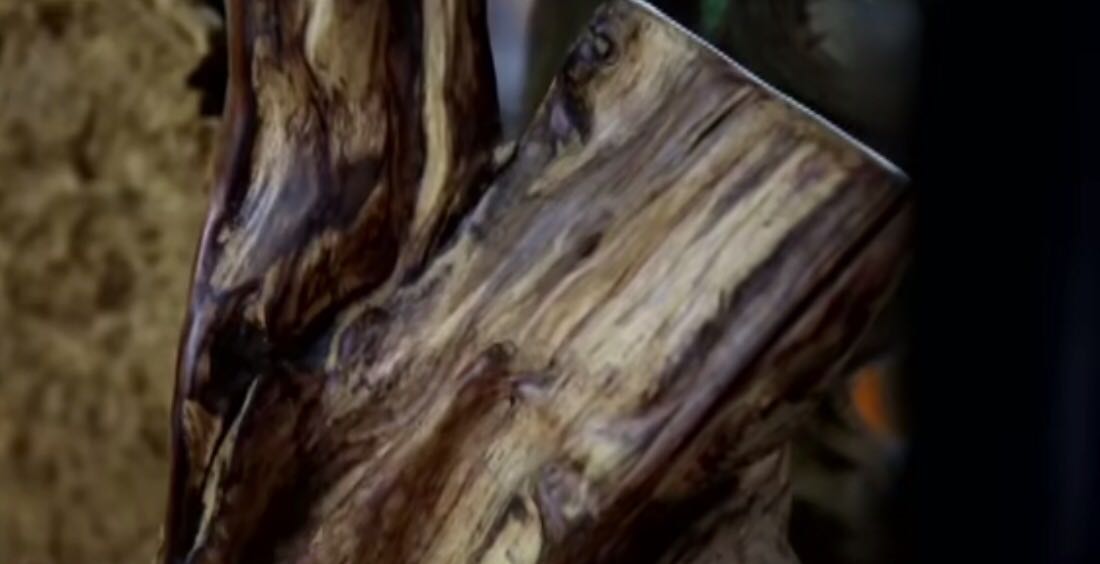 聞香・柬蒲寨産 根瘤黄花梨 这种木头几千元一斤“