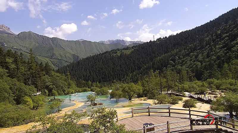 夏日黄龙（图片来自直播中国直播截图）