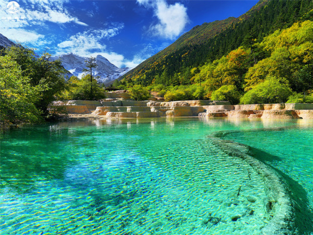夏日黄龙（图片来自黄龙景区管理局 姜跃斌/摄）