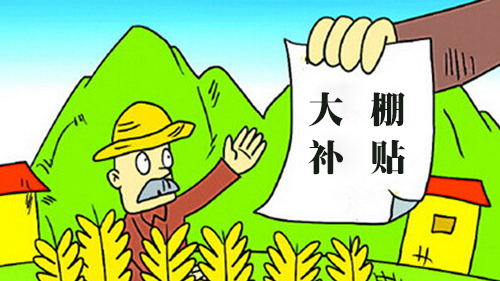 收入证明_农民 收入性补贴(2)