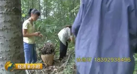 20190816经济半小时_宇航员27日16时30分左右出舱 出舱过程将电视直播