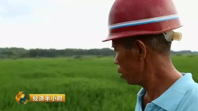 国人均收入水平_2020年小康水平人均