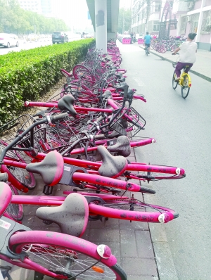 上百辆共享单车扫码打不开 市民:把垃圾堆在街