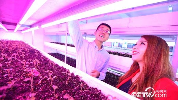 《走遍中国》9月25日节目预告:奇妙的植物帝国