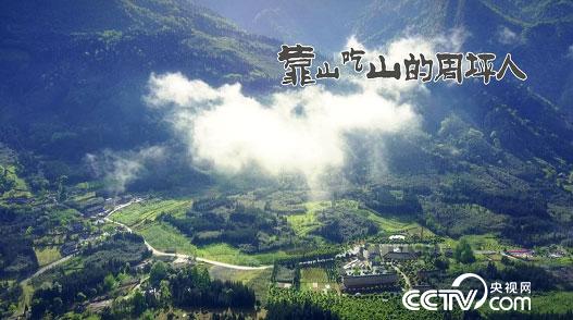 乡土节目看点:靠山吃山的周坪人 9月25日