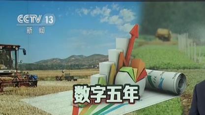 北上广人均存款_2016农村人均纯收入(3)
