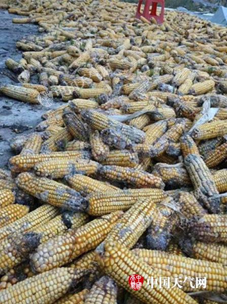 【四川陕西湖北】等多阴雨 全国大部气温低迷