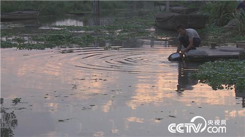 乡土节目看点:花好月圆品东台 10月17日