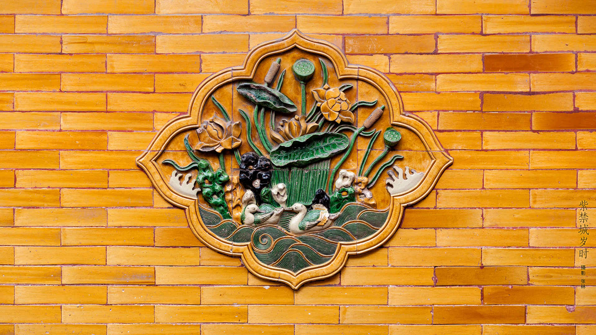 网红 故宫,没有 冷宫