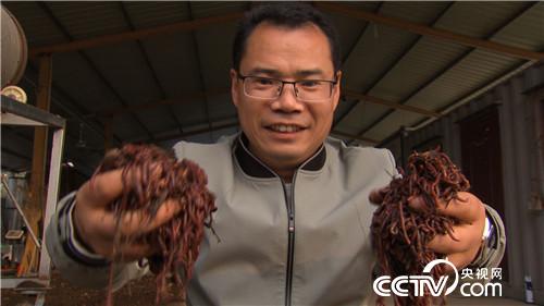 致富经:为妻创业 粪里筛出500万 12月4日