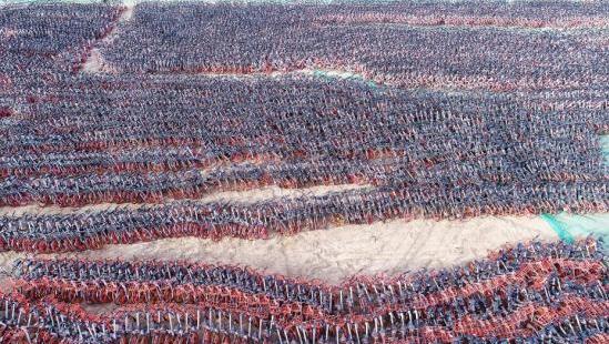 摩拜上线新系统 信用差用户骑车半小时将收费