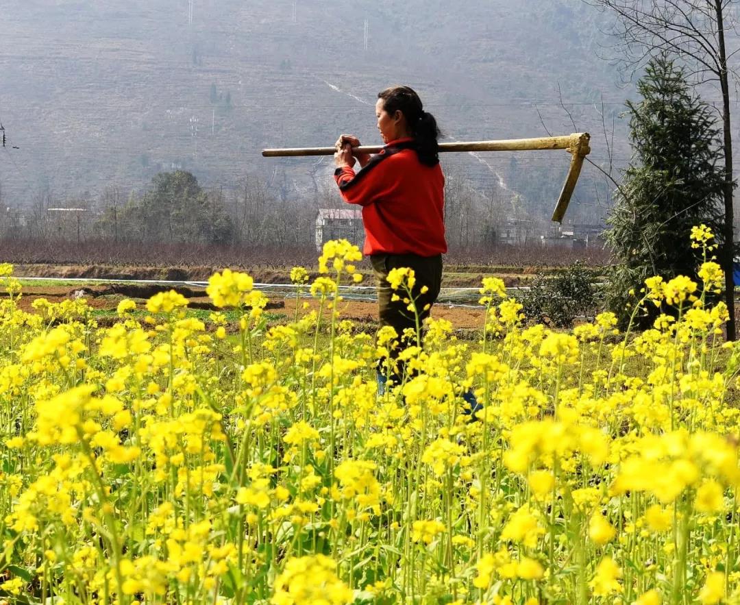 春种一粒粟,秋收万颗子