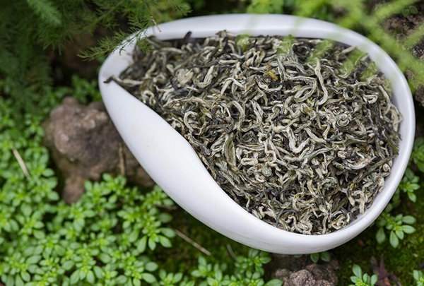 有个问题一直不明 茶叶上为何有小毫毛