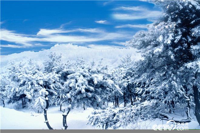 安泽县国家森林公园--青松岭雪景