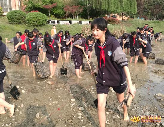 什么是压力治疗成都一中学设＂校园农场＂ 上课就是种藕栽花捕鱼_https://www.jmylbn.com_新闻资讯_第4张