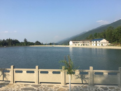 如今的大窝社区鸟语花香、生意盎然