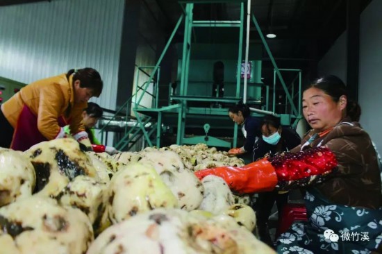 电商扶贫闪亮天南海北