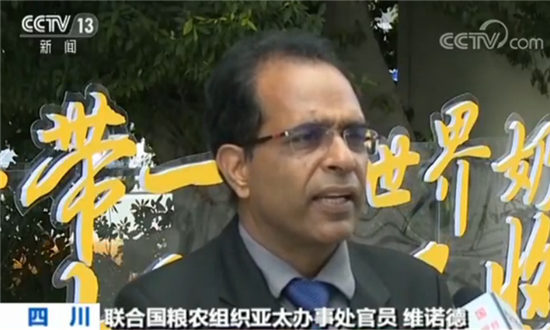 联合国粮农组织亚太办事处官员维诺德阿胡贾