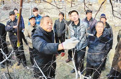 国士无双 风骨流芳：习近平何以对这些知识分子念念不忘