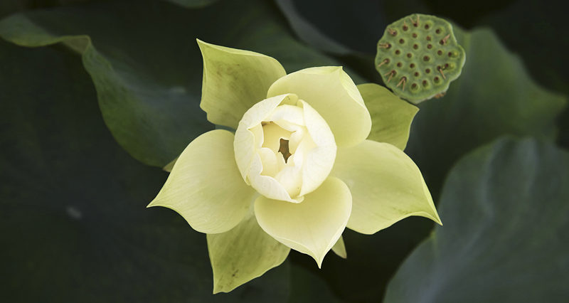 幸福密码,藏在你对生活的态度里