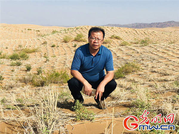 【宁夏60年】从防风固沙到沙里淘金--宁夏
