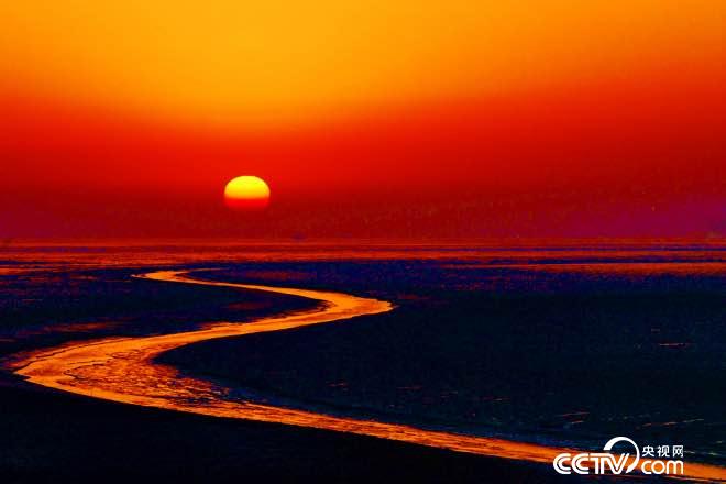 旭日东升黄河口