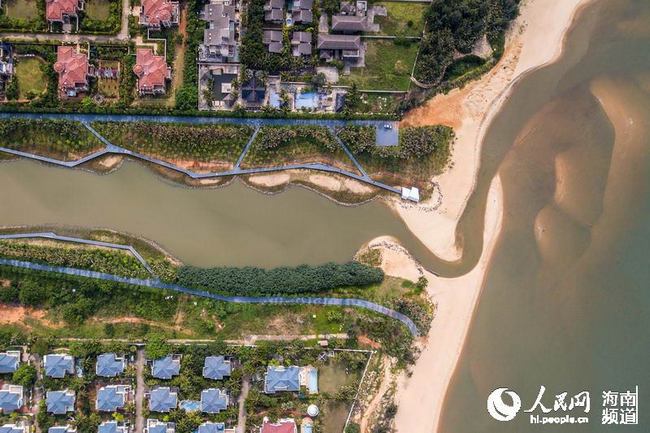 半是海水半是绿洲 海口荣膺全球首批国际湿地城市_新闻频道_央视网(cctv.com)