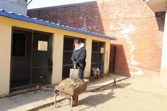 凌晨2点带犬巡逻，警花的“铲屎官”日常是这样的