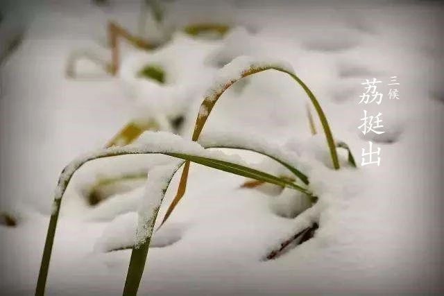 大雪，岁寒灯益暖，守望夜归人（图6）