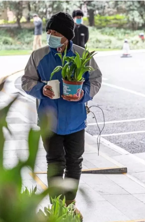 『上海』上海街头的这一幕太暖！